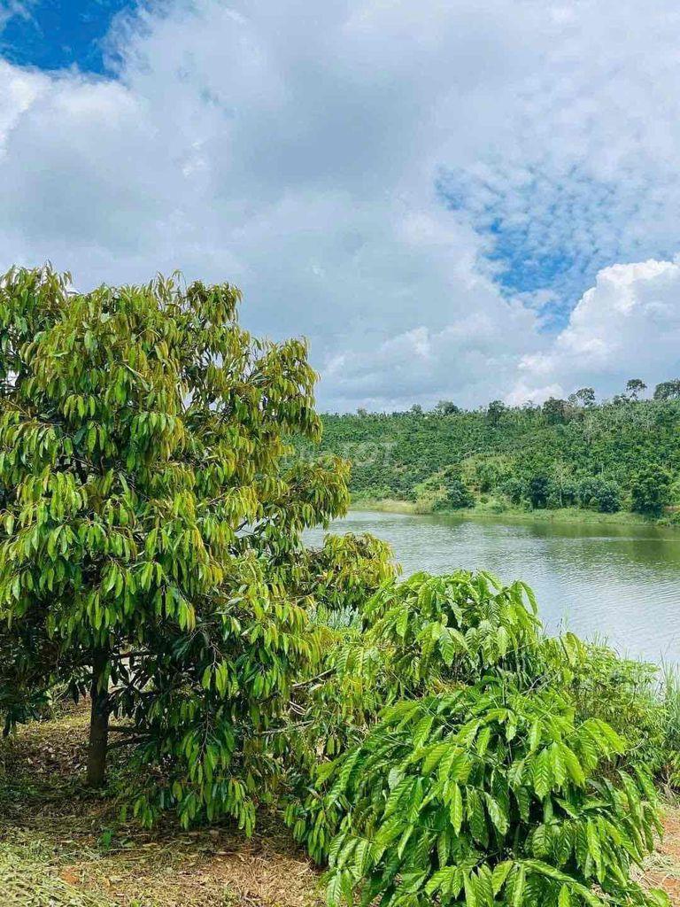 Bán Vườn Thuận An Bám đập cách tỉnh lộ 683 nhựa 300m, đã tách 5 sổ sẵn - Ảnh 1